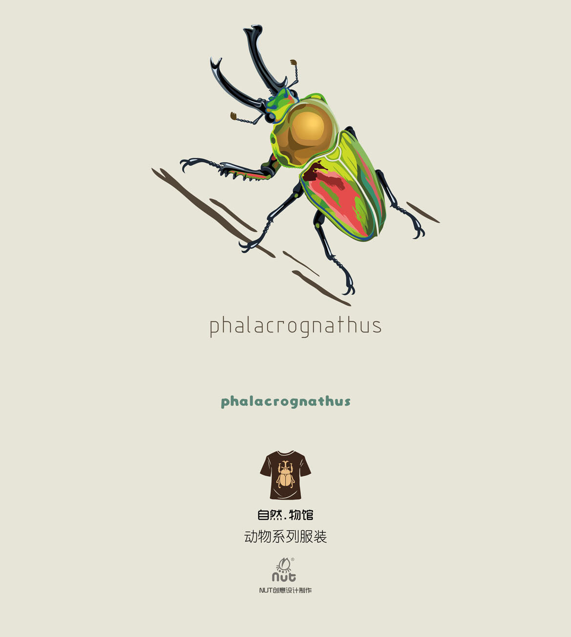 T-shirt Phalacrognathus mulleri “Rainbow beetle”