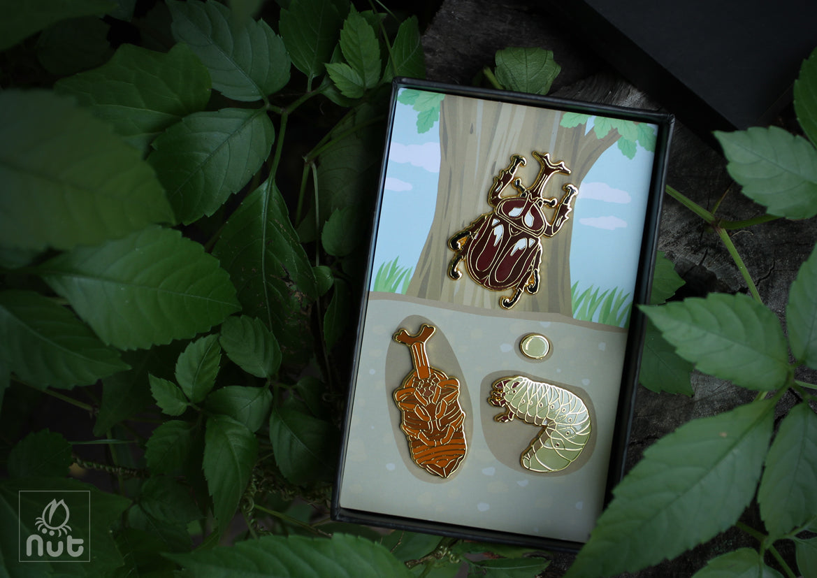 Round Insect Badge Insect Badge Allomyrina dichotoma “rhinoceros beetles” – Nut Insect ...