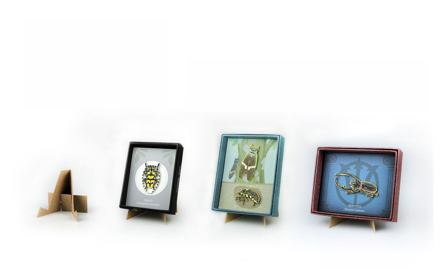 Insect Badge “Chinese Beetle Series Ⅰ”