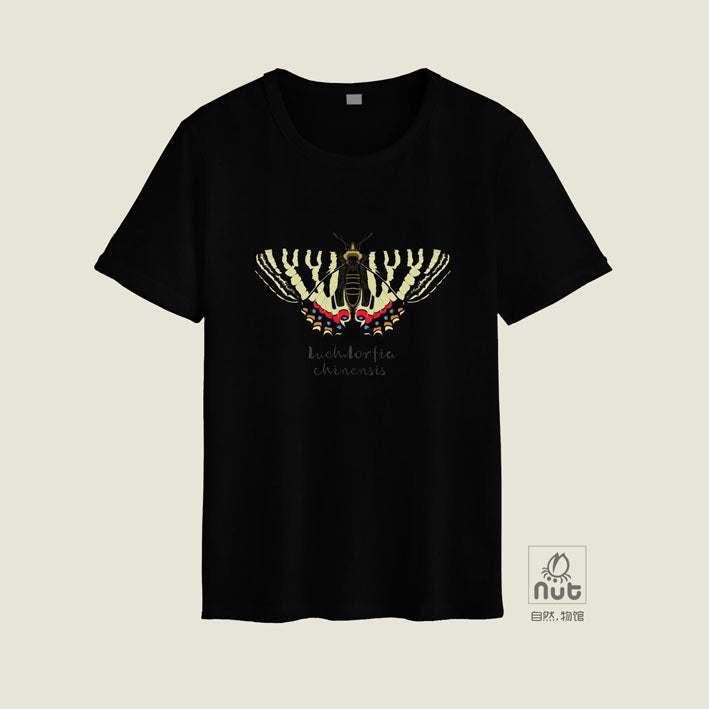 T-shirt Luehdorfia chinensis