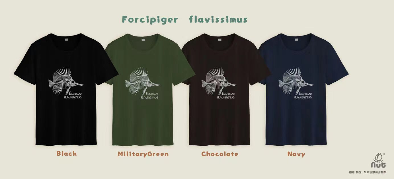 T-shirt Forcipiger  flavissimus