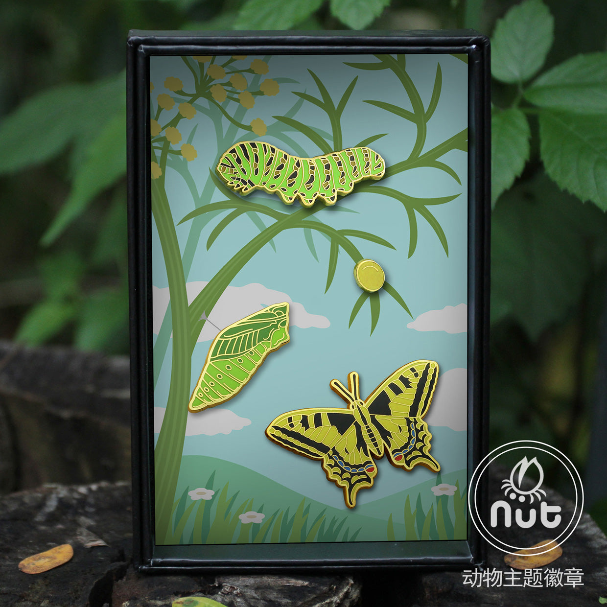 Round Insect Badge Insect Badge Papilio machaon “Golden butterfly” – Nut Insect Nature Design