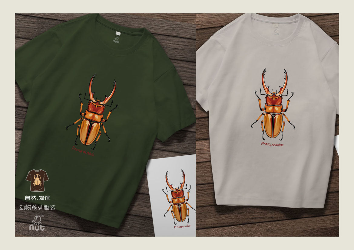 T-shirt Prosopocoilus astacoides