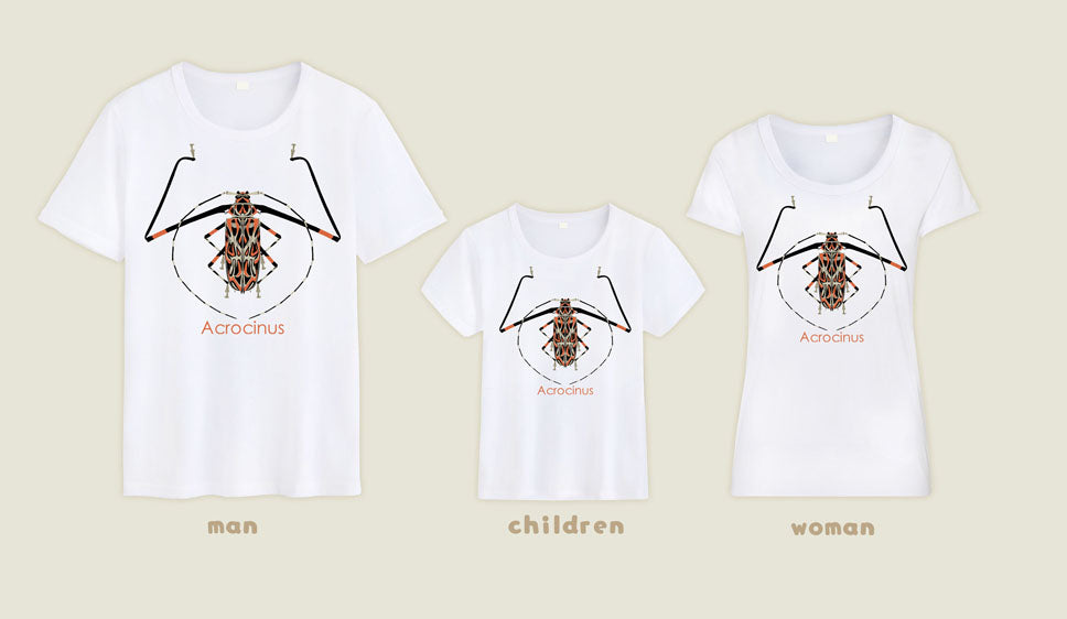 T-shirt Acrocinus