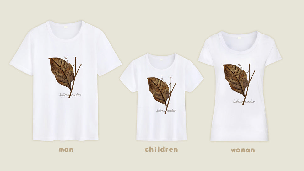 T-shirt Kallima inachus