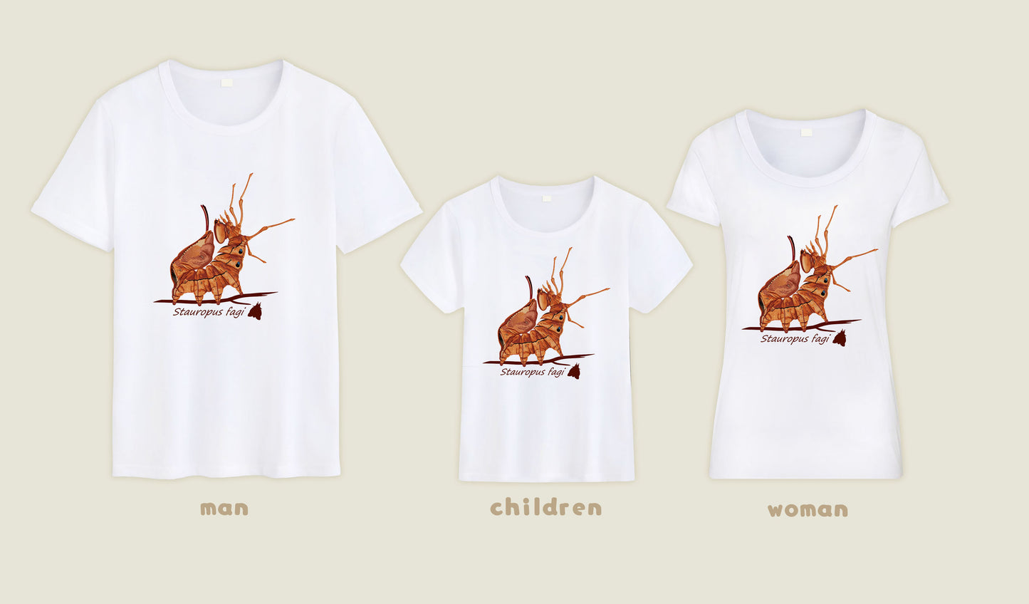 T-shirt Stauropus fagi