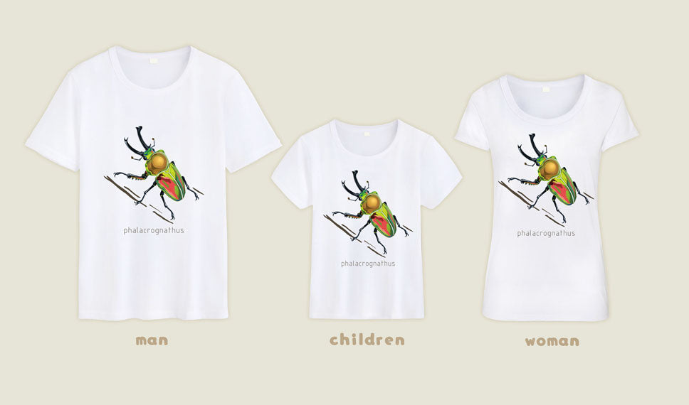T-shirt Phalacrognathus mulleri “Rainbow beetle”