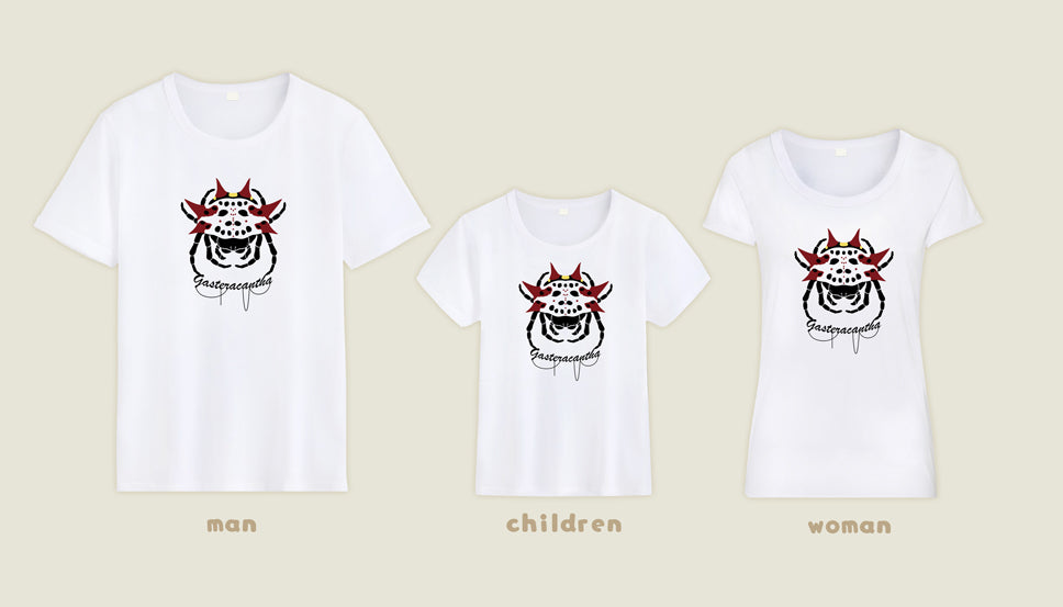 T-shirt Gasteracantha cancriformis