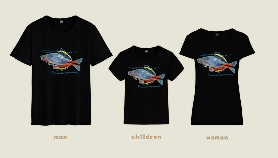 T-shirt Paracheilognathus 