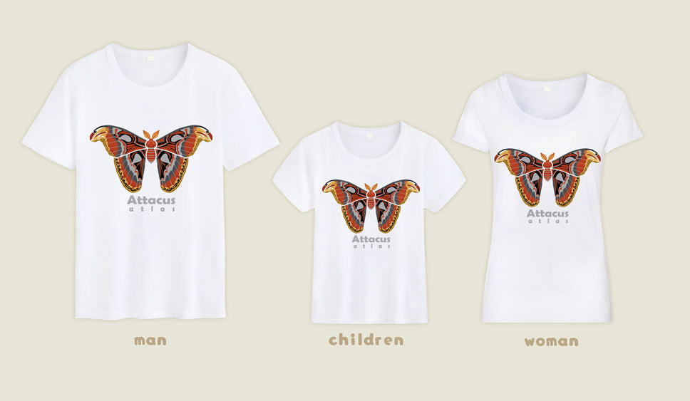 T-shirt Attacus atlas