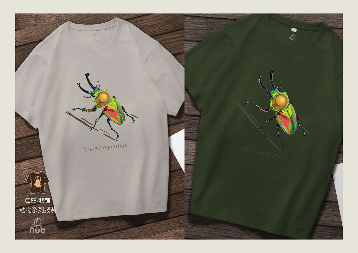 T-shirt Phalacrognathus mulleri “Rainbow beetle”