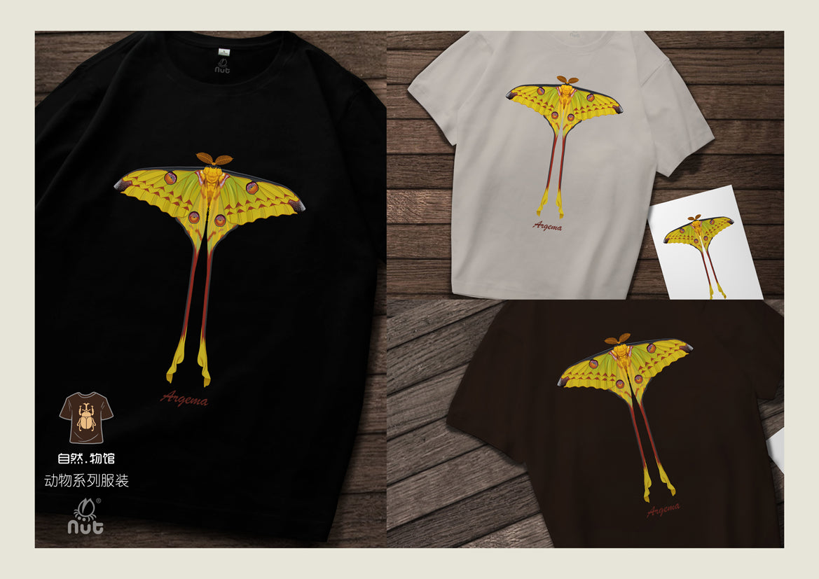 T-shirt Argema mittrei