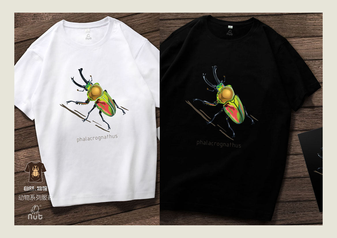 T-shirt Phalacrognathus mulleri “Rainbow beetle”