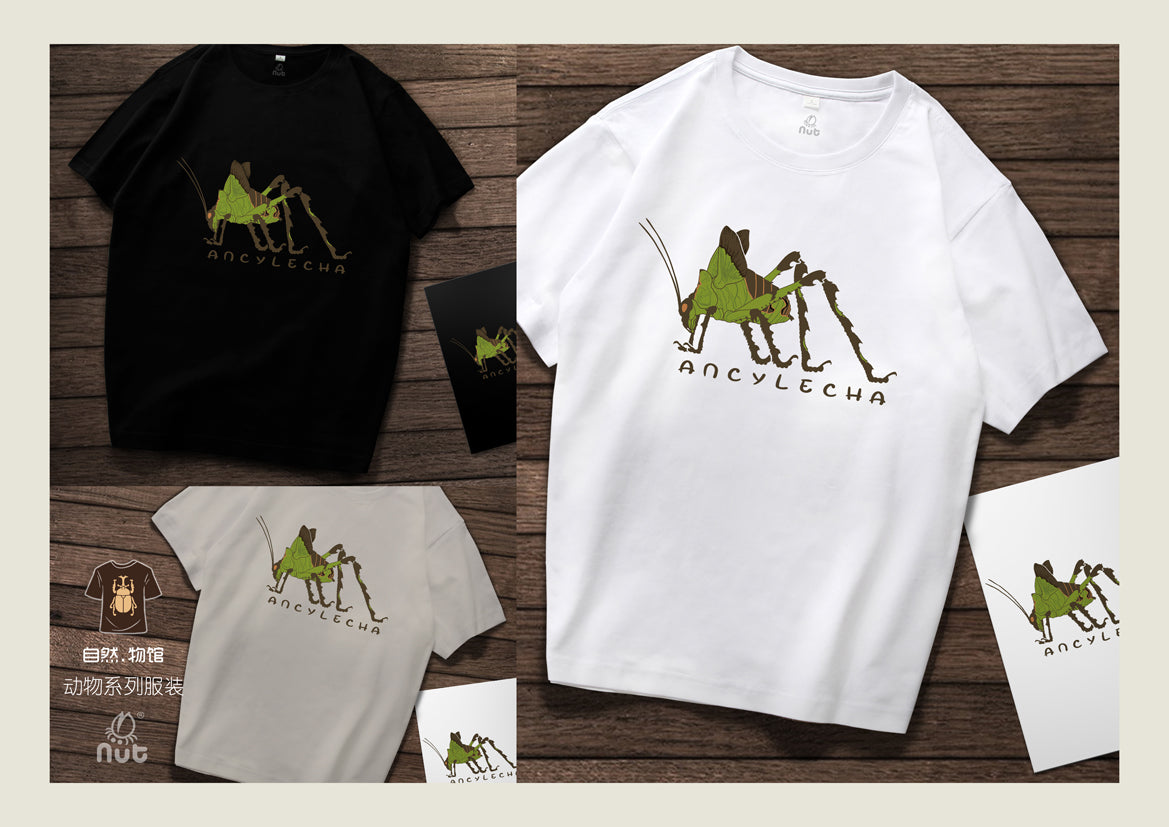 T-shirt Ancylecha