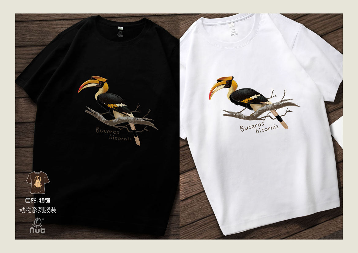 T-shirt Buceros bicornis