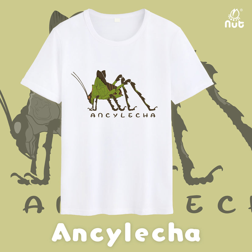 T-shirt Ancylecha