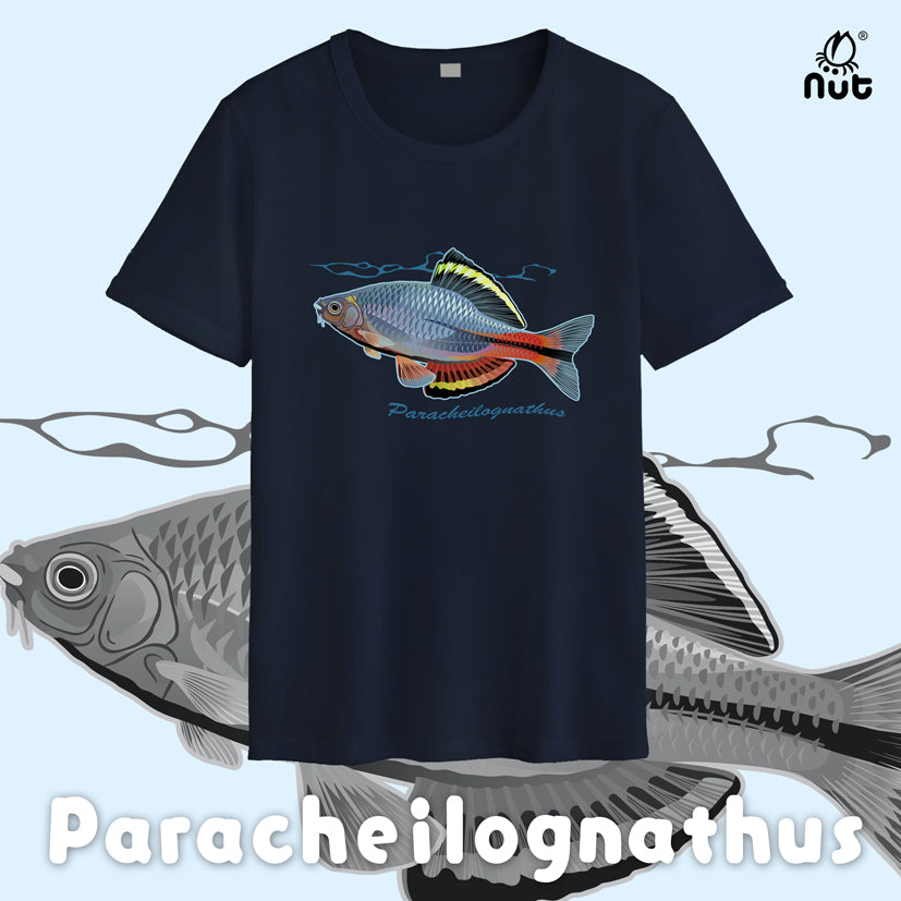 T-shirt Paracheilognathus 