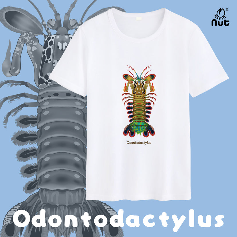 T-shirt Odontodactylus
