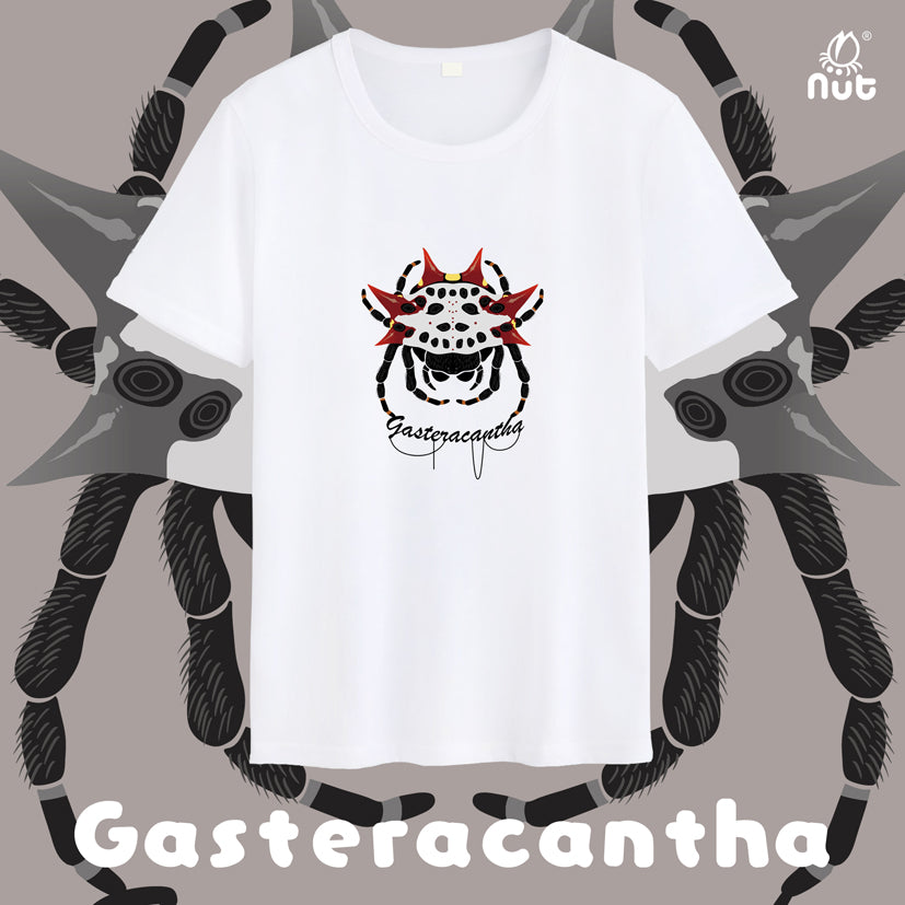 T-shirt Gasteracantha cancriformis