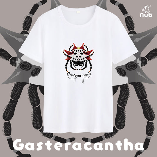 T-shirt Gasteracantha cancriformis