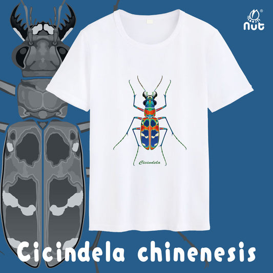 T-shirt Cicindela chinenesis