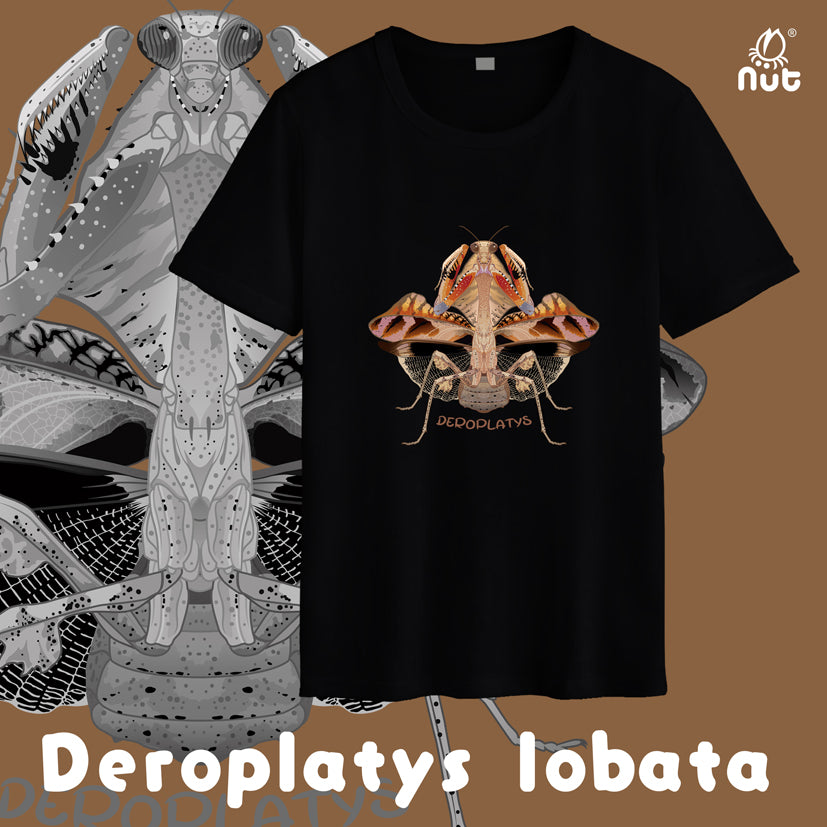 T-shirt Deroplatys lobata