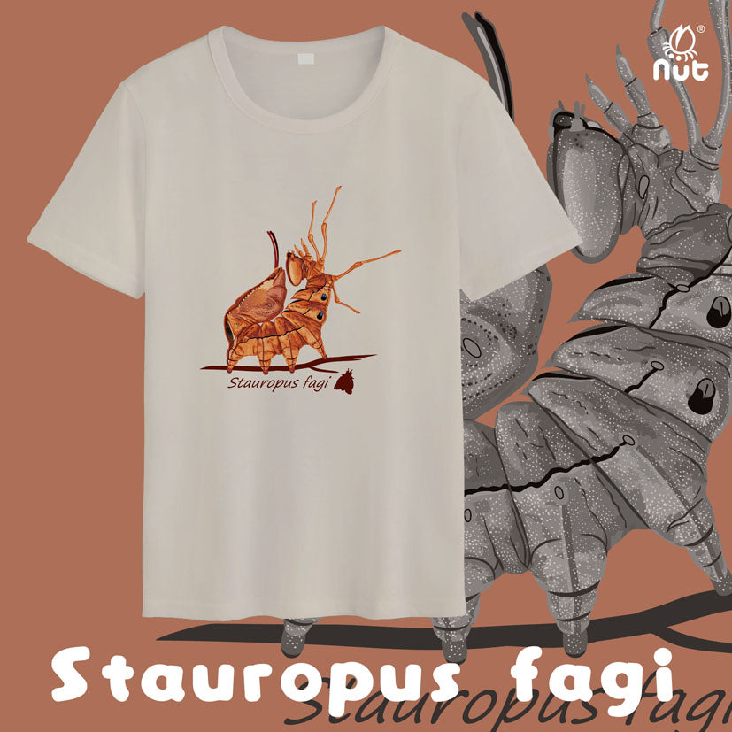 T-shirt Stauropus fagi