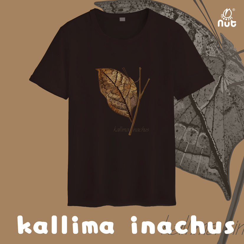 T-shirt Kallima inachus