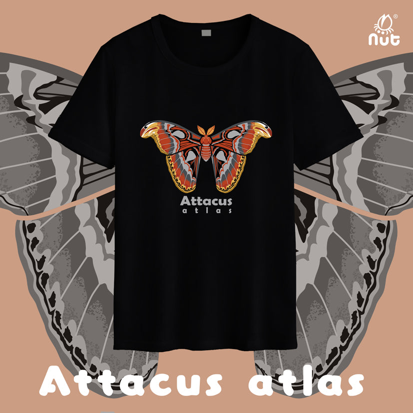 T-shirt Attacus atlas