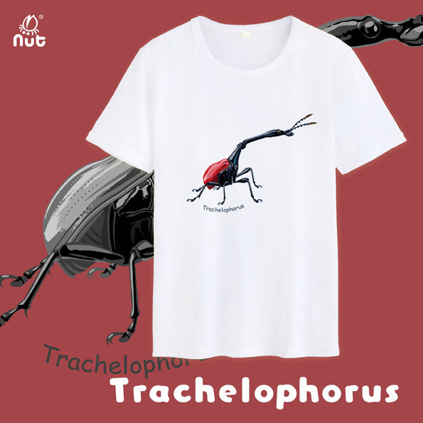 T-shirt Trachelophorus