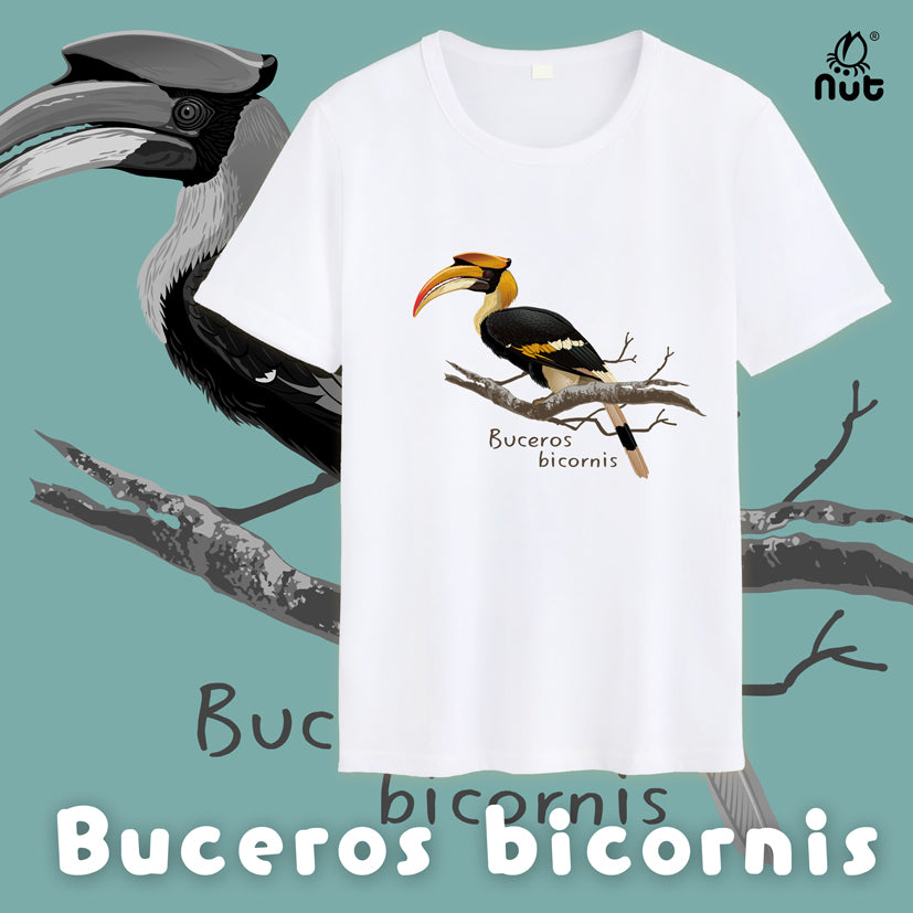 T-shirt Buceros bicornis
