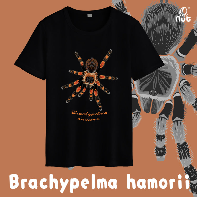 T-shirt Brachypelma hamorii