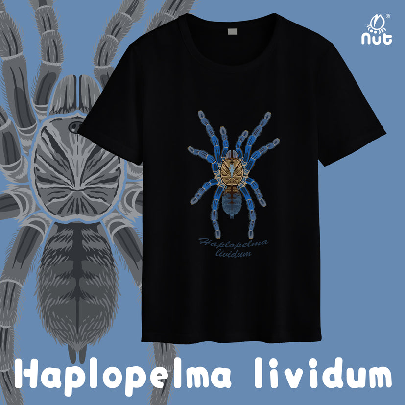 T-shirt Haplopelma lividum
