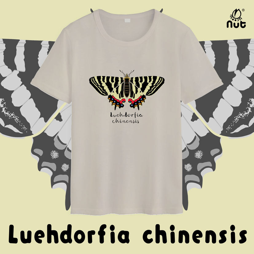 T-shirt Luehdorfia chinensis