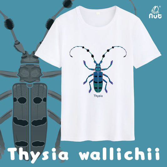 T-shirt Thysia wallichii