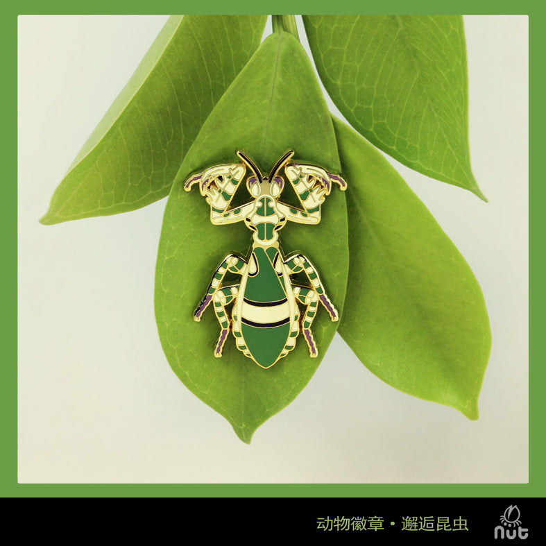 Insect Badge Theopropus elegans