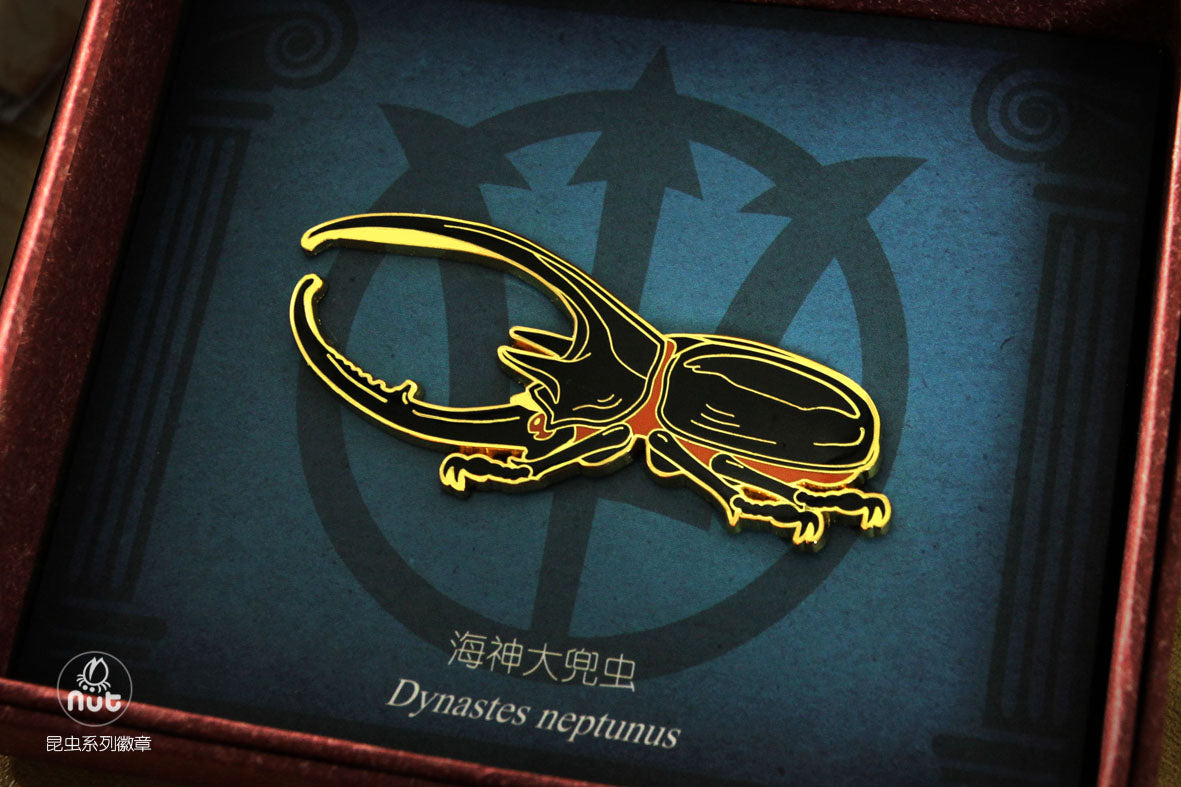 Insect Badge  “The gods come down Ⅰ” Dynastes neptunus
