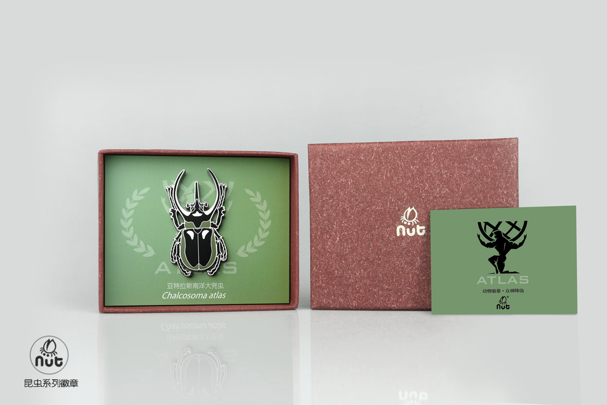Insect Badge  “The gods come down Ⅱ” Chalcosoma atlas