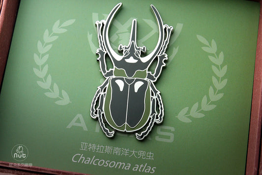 Insect Badge  “The gods come down Ⅱ” Chalcosoma atlas