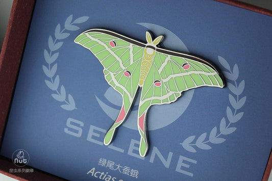 Insect Badge  “The gods come down Ⅱ” Actias selene