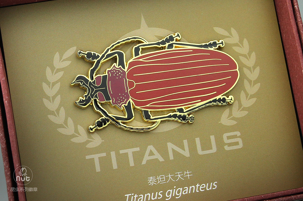 Insect Badge  “The gods come down Ⅱ” Titanus giganteus