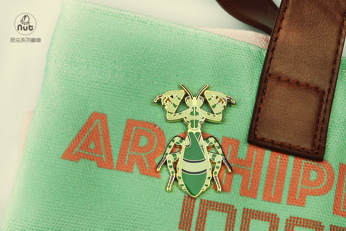 Insect Badge Theopropus elegans