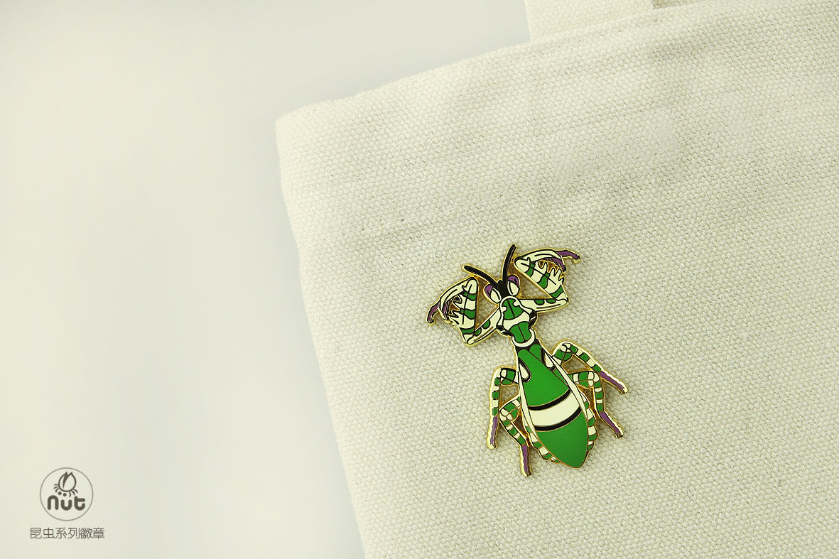 Insect Badge Theopropus elegans
