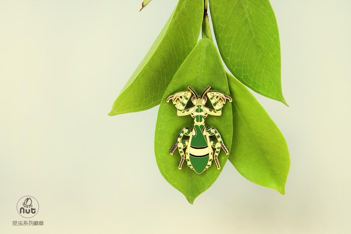 Insect Badge Theopropus elegans
