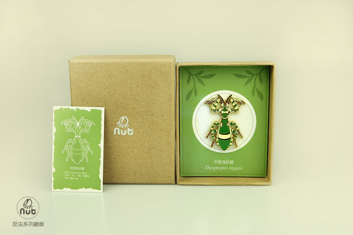 Insect Badge Theopropus elegans