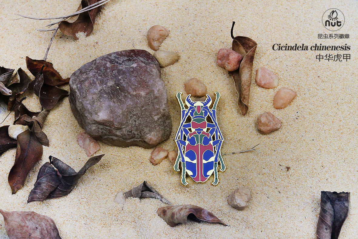 Insect Badge “Chinese Beetle Series Ⅱ”