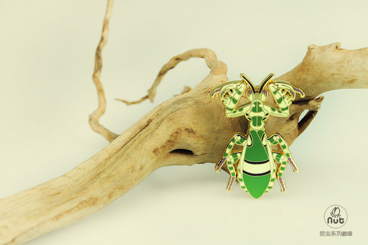 Insect Badge Theopropus elegans