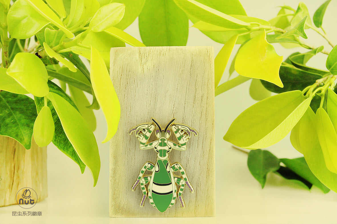 Insect Badge Theopropus elegans