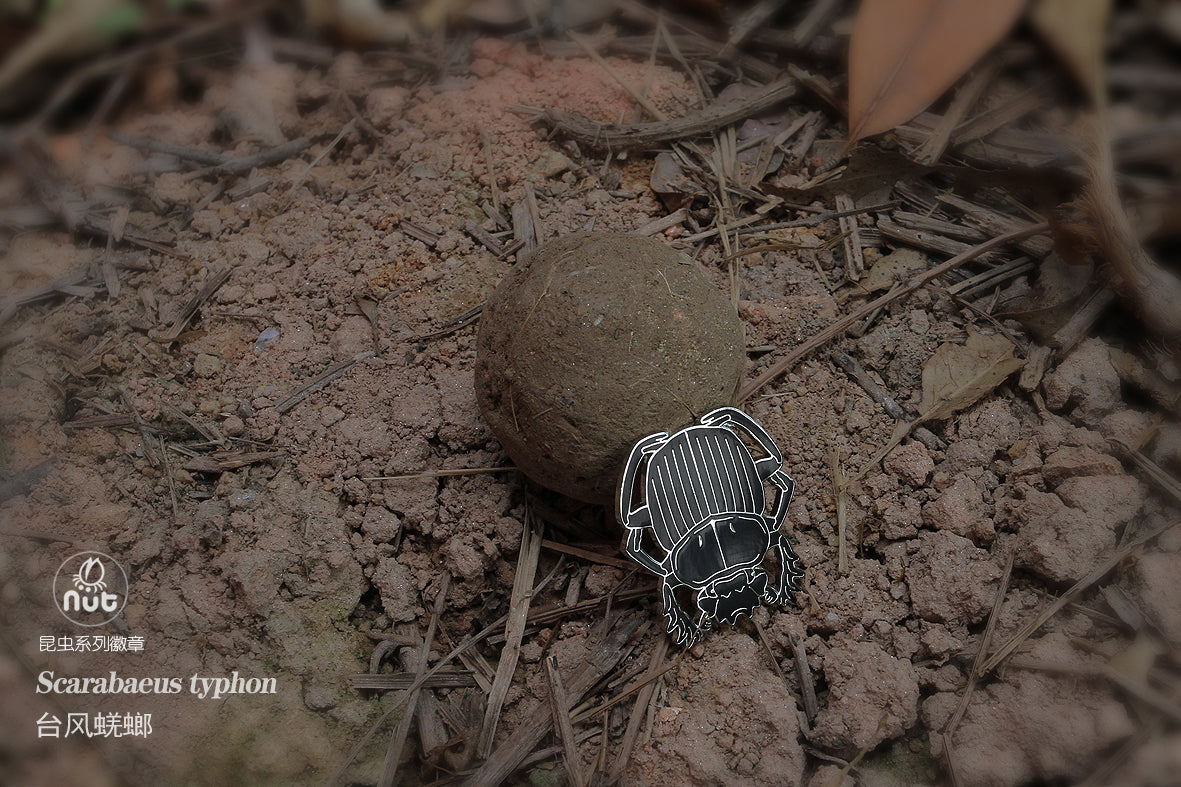 Insect Badge “Chinese Beetle Series Ⅱ”