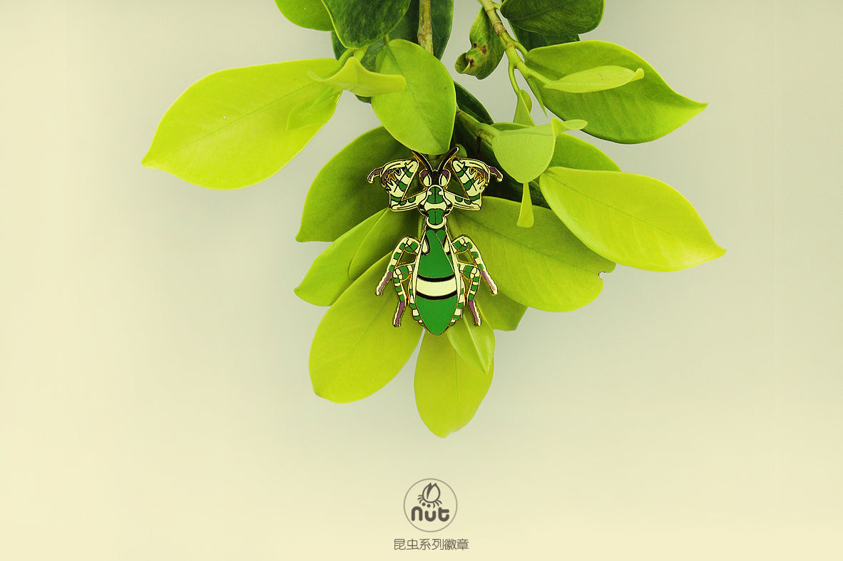 Insect Badge Theopropus elegans